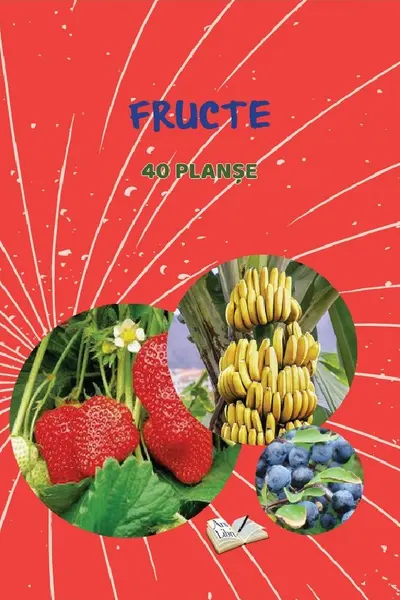 Planse: Fructe
