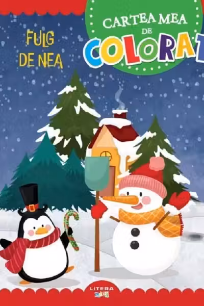 CARTEA MEA DE PICTAT. FULG DE NEA