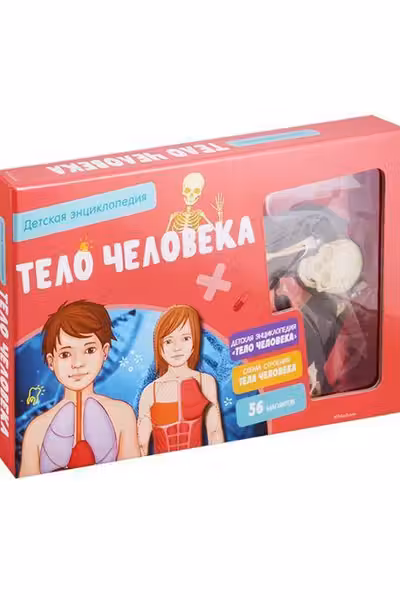 Тело человека. Интерактивная детская энциклопедия с магнитами (в коробке)