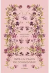 Romane nemuritoare. INTR-UN CAMIN DE DOMNISOARE.