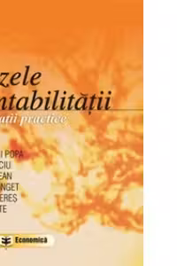 Bazele contabilitatii. Aplicatii practice