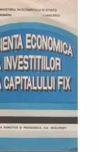 Eficienta economica a investitiilor