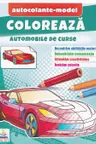 Coloreaza automobile de curse