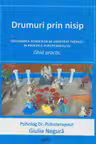 Drumuri prin nisip. Ghid practic