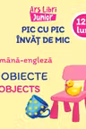 Pic cu pic învăț de mic - Obiecte