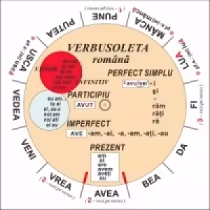 Verbusoleta romana