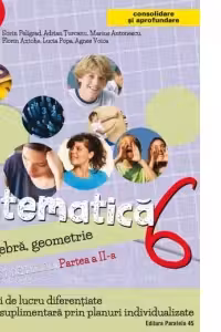 Matematica. Algebra, geometrie. Caiet de lucru. Clasa a 6-a. Partea a II-a. Consolidare si aprofundare (2017-2018)