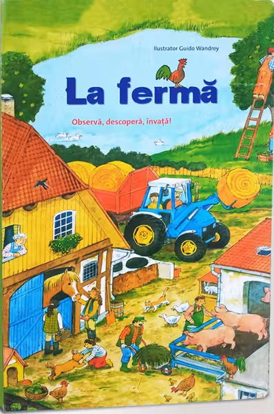 In castelul fortificat. Observa descopera invata!