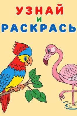 Фламинго. Узнай и раскрась. Фламинго
