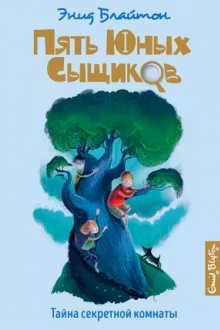 Тайна секретной комнаты Пять юных сыщиков