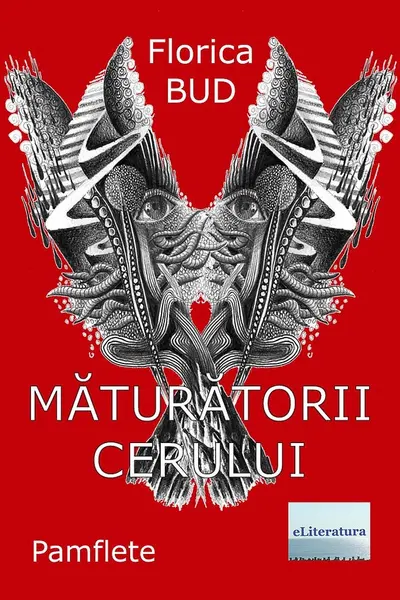Măturătorii cerului
