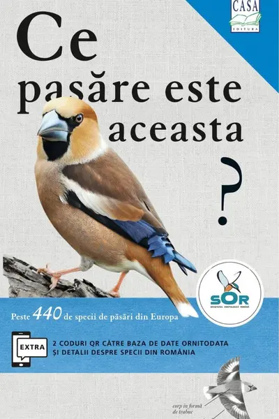 Ce pasare este aceasta?