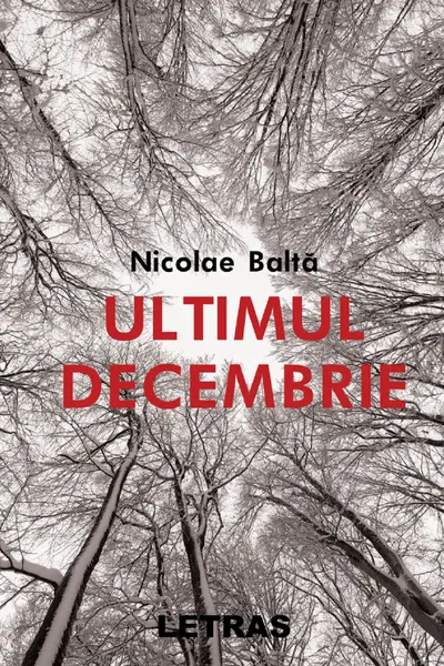 Ultimul decembrie- Nicolae Balta