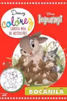 Disney Iepurasi. Bocanila