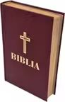 Biblia, format 053, grena