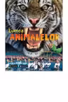 Enciclopedie ilustrata - Lumea animalelor