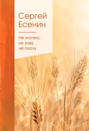 Не жалею, не зову, не плачу. Есенин