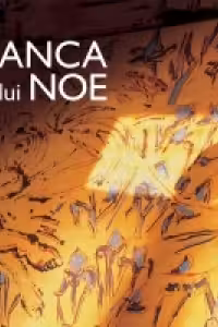 Anca lui Noe