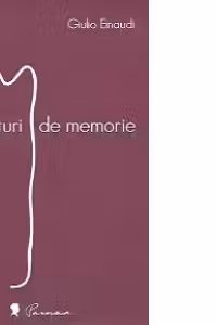 Franturi de memorie