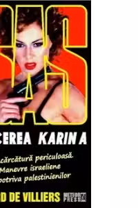 SAS 120. Afacerea Karin A