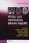 Fetal and Neonatal Brain Injury - David K. Stevenson, William E. Benitz, Philip Sunshine, Susan R. Hintz, Maurice L. Druzin