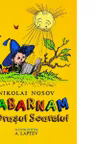Habarnam in orasul soarelui