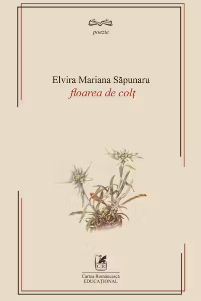 Floare de colț