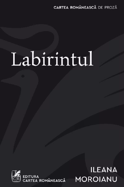 Labirintul