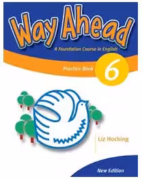 Way Ahead 6, Grammar Practice Book, Caiet de gramatica engleza pentru clasa 8-a