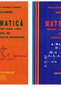 Manual matematică Clasa 12 M1 - 2 Volume 2007