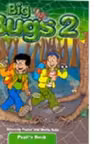 Big Bugs 2 Flashcards
