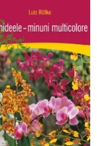 Orhideele - minuni ale naturii