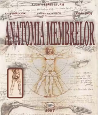 Anatomia membrelor - Ludovic Seres-Sturm, Klara Brinzaniuc, Cosmin Nicolescu, Remus Sipos