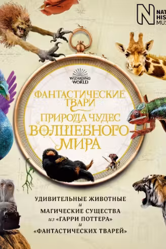 Фантастические твари. Природа чудес волшебного мира