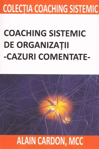 Coaching sistemic de organizatii