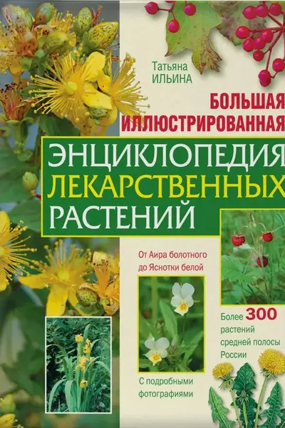 Большая иллюстрированная энциклопедия лекарственных растений