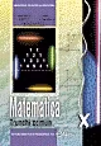 Manual matematica clasa a 10-a trunchi comun