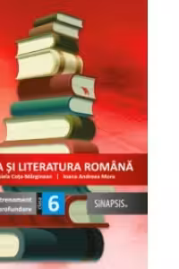 Limba si literatura romana - Caiet de Antrenament si Aprofundare clasa a VI-a