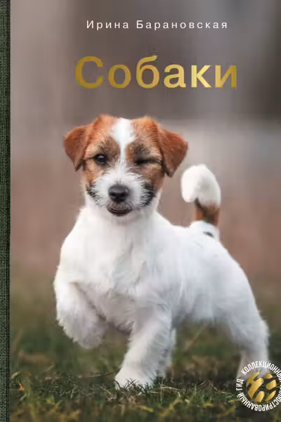 Собаки
