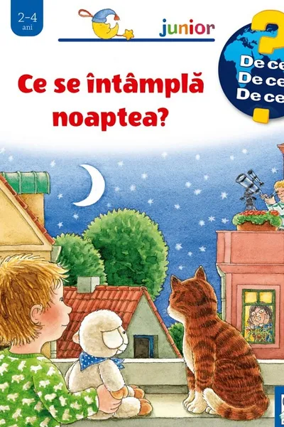 Ce se intampla noaptea?