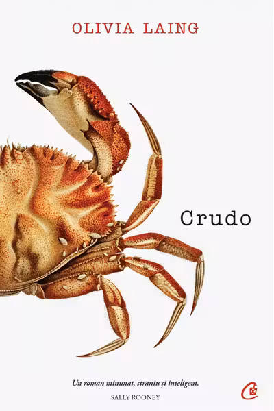 Crudo
