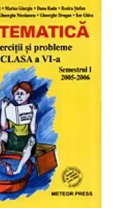 Matematica Exercitii si probleme pentr clasa a VI-a, semestrul I