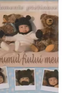Momente pretioase - Albumul fiului meu