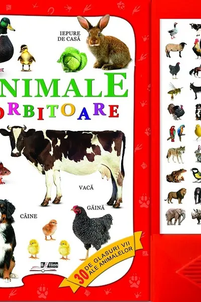 Animale vorbitoare