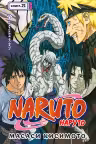 Naruto. Наруто. Книга 21. Братский альянс