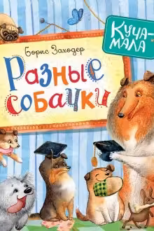 Разные собачки (Куча-мала)