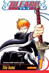 Bleach Vol. 1