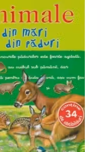 Picto-abtibilduri - Animale din mari si din paduri