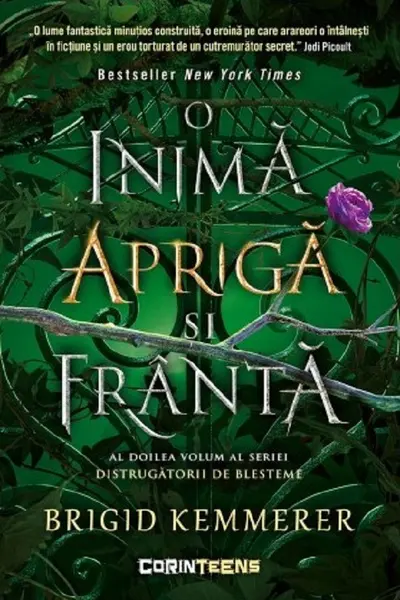 O inima apriga si franta. Vol 2