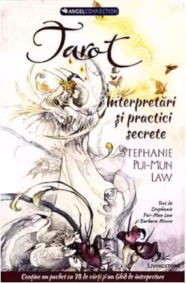 Tarot - Interpretari si practice secrete (cutie care contine ghid + 78 de carti)
